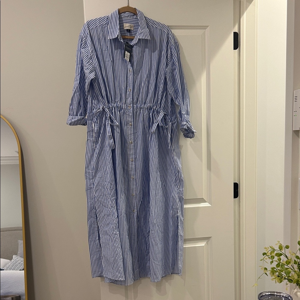 Universal Thread Blue and White Striped Dress